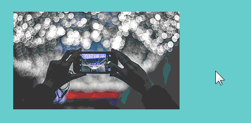 hover effects flip resellerclub blog
