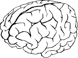 human-brain-155189_960_720