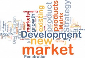 new market development word cloud