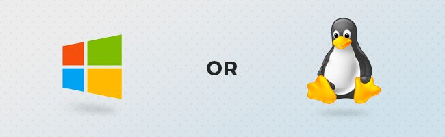 windows or linux logo