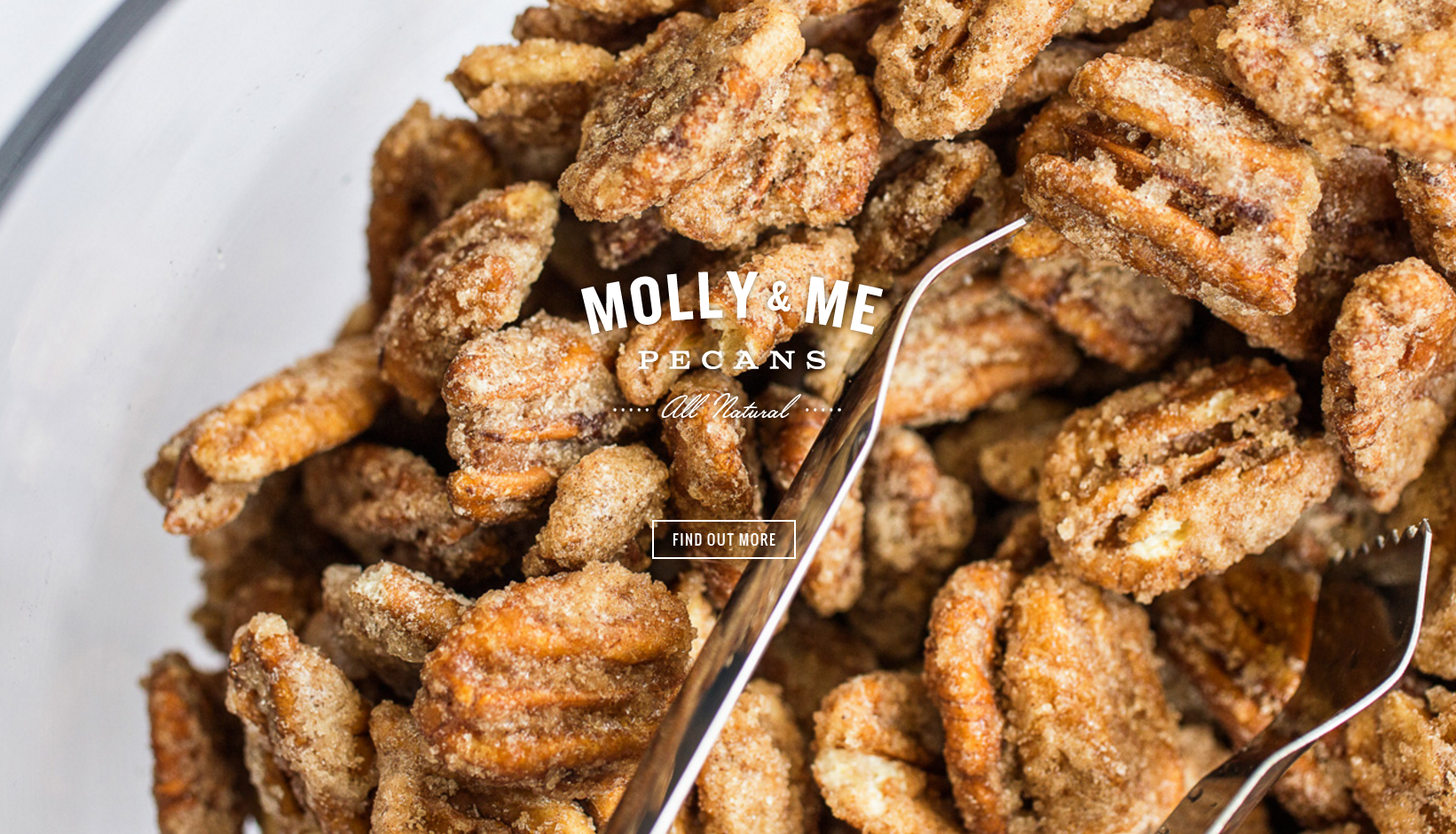 molly and me hero banner blogs resellerclub