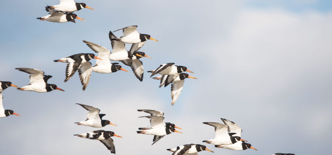 SEO Friendly Migration to Cloud Hosting