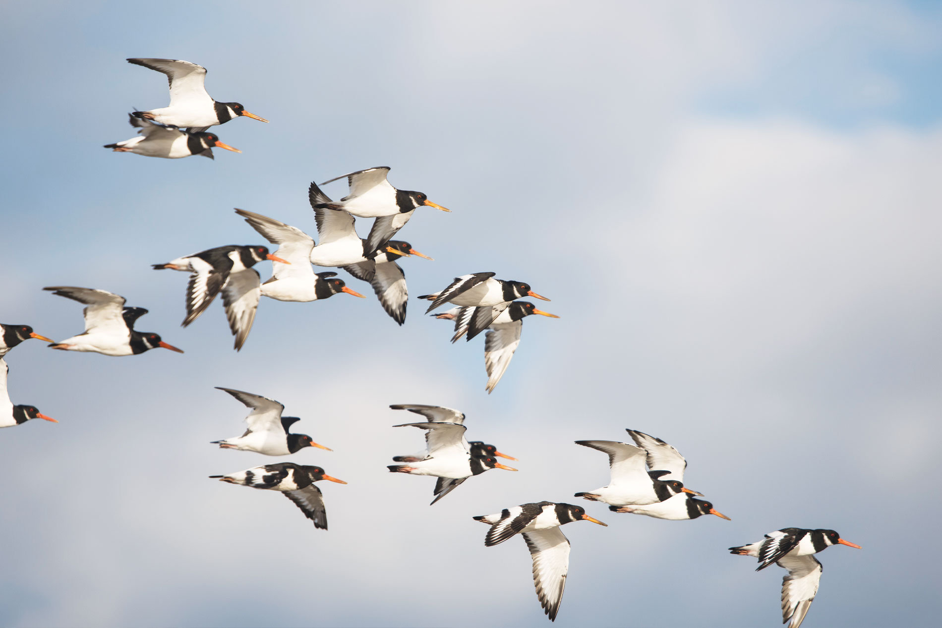 SEO Friendly Migration to Cloud Hosting